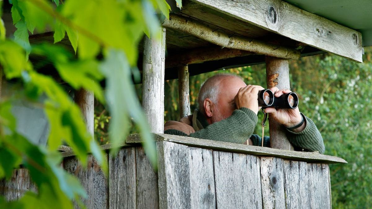 Mi történhetett? Holtan találtak egy vadászt a zalai magaslesen!