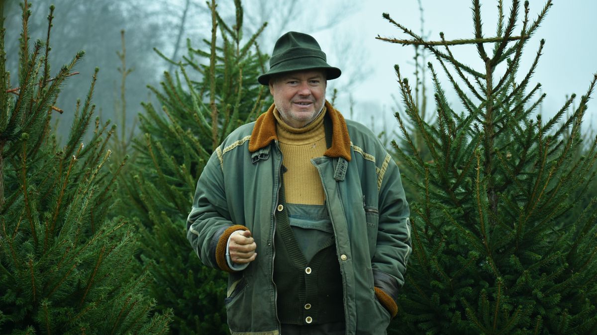 Mindannyian ezt keressük – elárulta a tökéletes karácsonyfa titkát a zalai őstermelő (galéria)