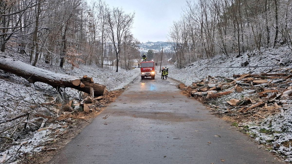 Kidőlt fa akadályozta a forgalmat a zalai településen - riasztották a tűzoltókat