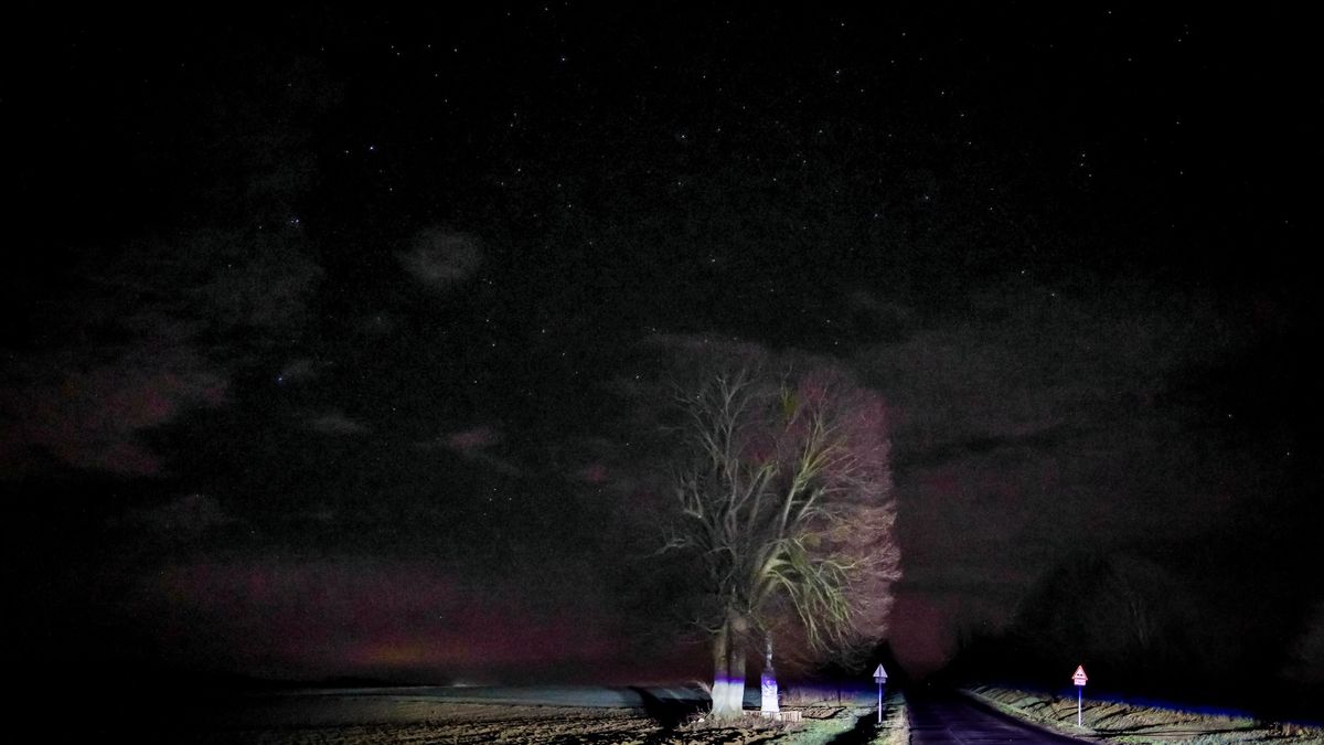 Péntek 13.: megtalálta már a szerencsecsillagát? Zalában megkeresheti a legszebbet, adunk egy tippet, hol találja