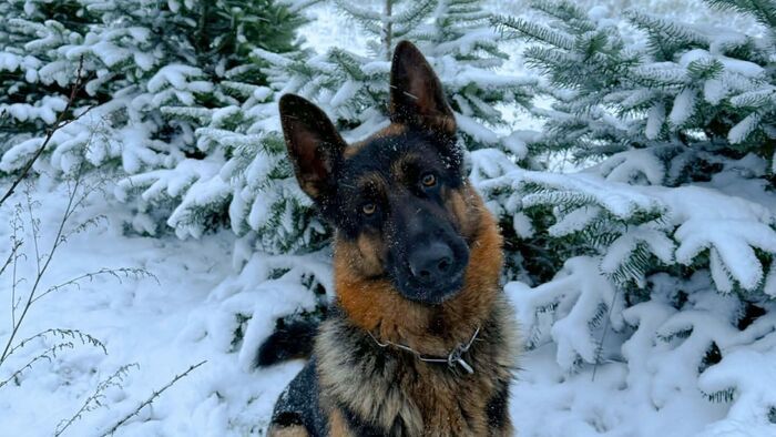 Tél tábornok hamarosan visszatérhet: a legjobb havas-jeges pillanatok Zalából egy csokorban (galéria)