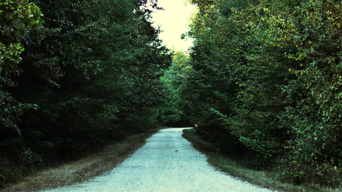 Kéktúra: vége a vakon indulásnak – új térképes funkció minden természetjárónak