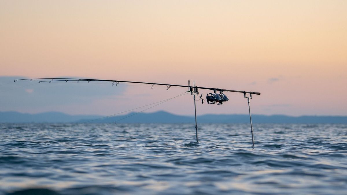 Csend a parton – gondolatok a horgászatról kívülről nézve
