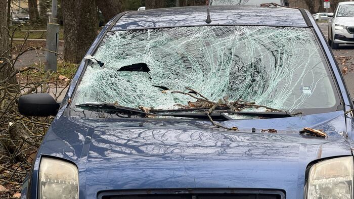 Munkában a tűzoltók és a láncfűrészek: erős szél tombol Zalában! Egymást érik a kidőlt fák, vigyázzon, ha útnak indul!