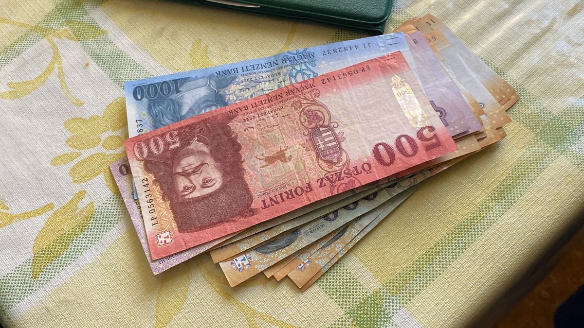 Nem aprózta el az ukrán férfi! Vádemelés egy csalássorozat ügyében