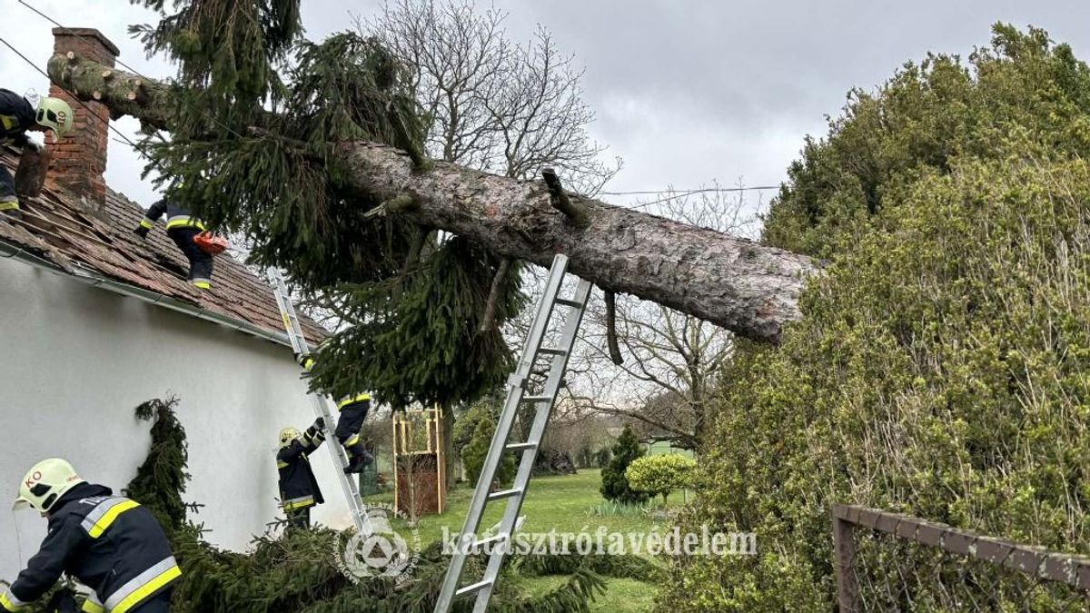 Viharmérleg Zalában: majd' 300 helyszínen zúgtak a motorfűrészek négy napon át