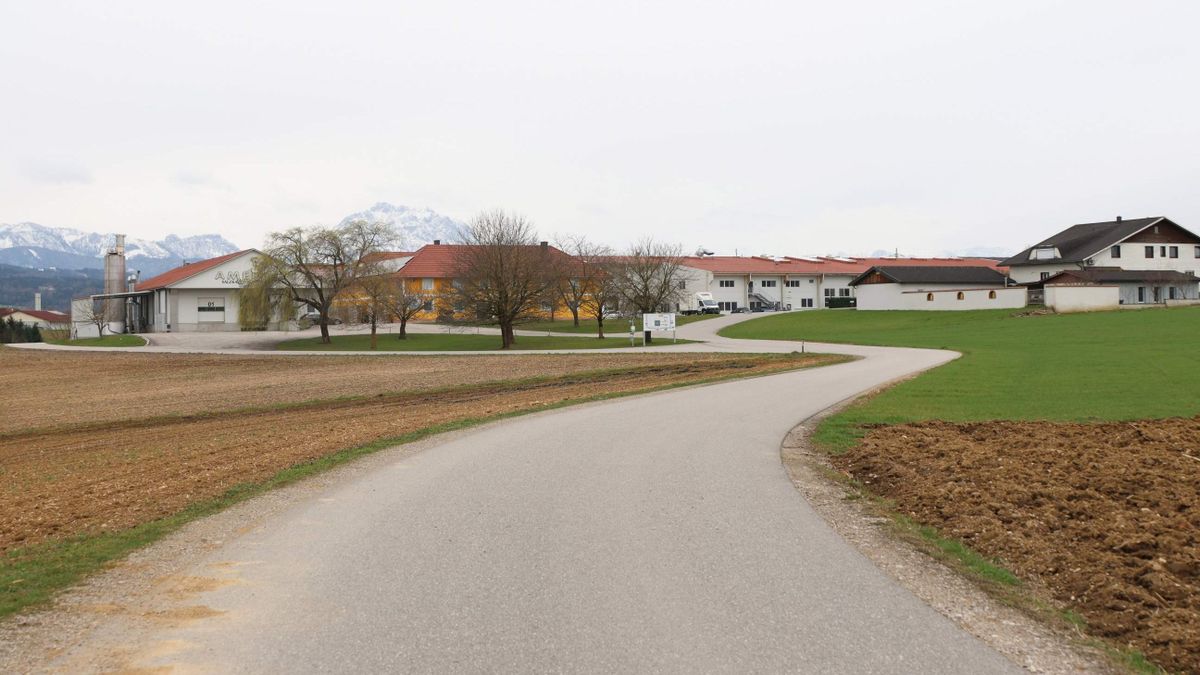 Holtan találtak rá a magyar kamionosra Ausztriában, robbanásnyomok voltak a vezetőfülkében