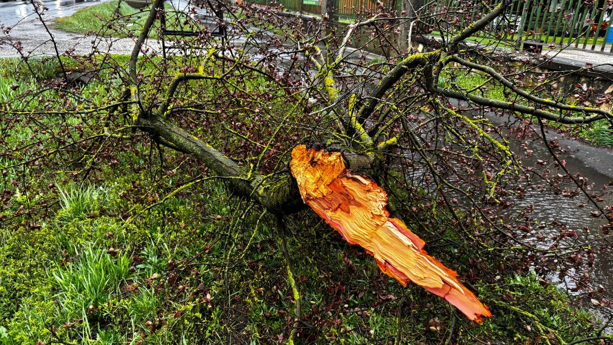 Így tombol a vihar térségünkben – már most elképesztőek a károk