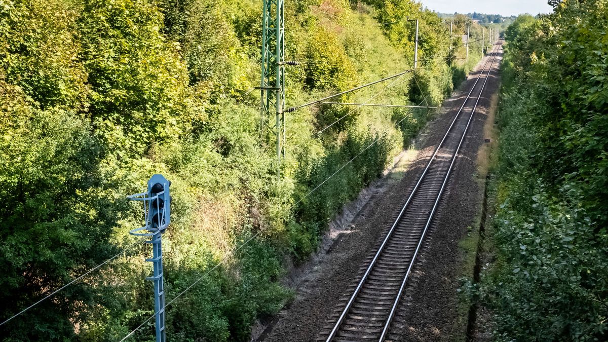 Pótlóbuszok járnak az orkán erejű szél miatt bizonyos zalai szakaszokon – részletek itt!