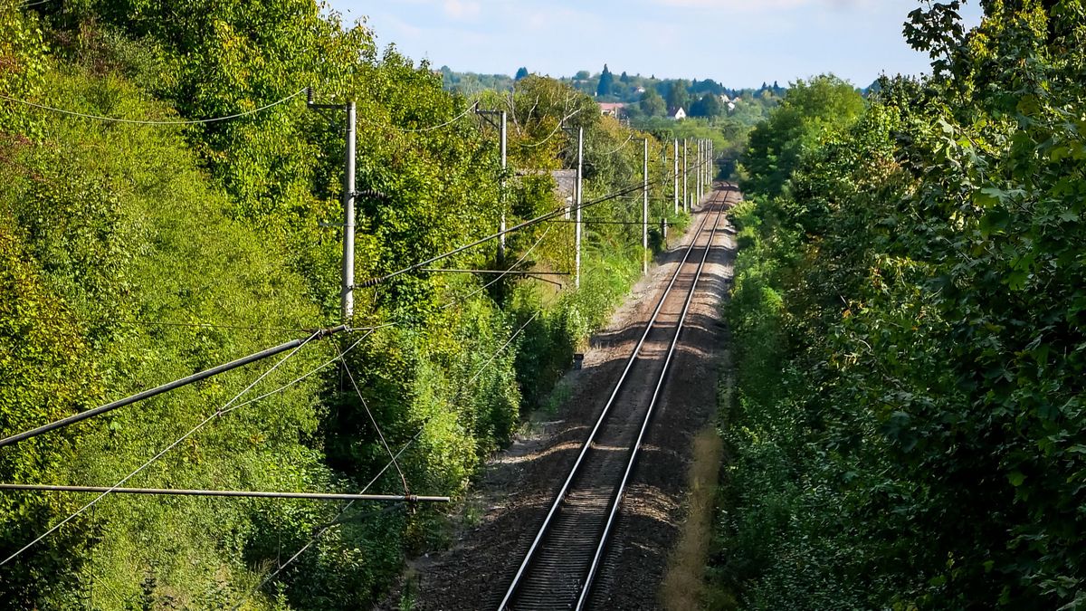 Ingyenpénz a MÁV-tól! Aki gyors volt, visszakapta a jegyár felét a pontos vonat után is!