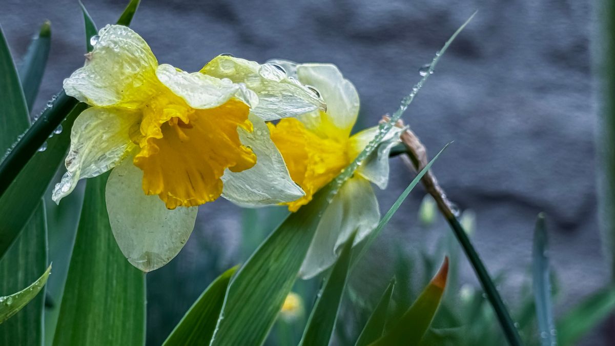 Jó hír! Vasárnap már előbújhat a nap is