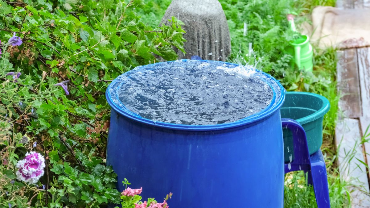 Így spórolhatsz az esővel: önözésre kiváló, csak össze kell gyűjteni