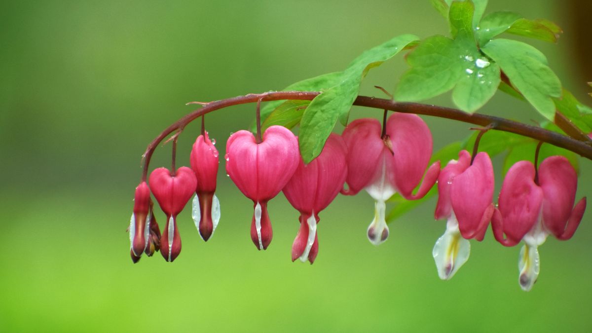 Vajon beborul az ég a választás napján? Most kiderül, mit tartogat számunkra a vasárnap!