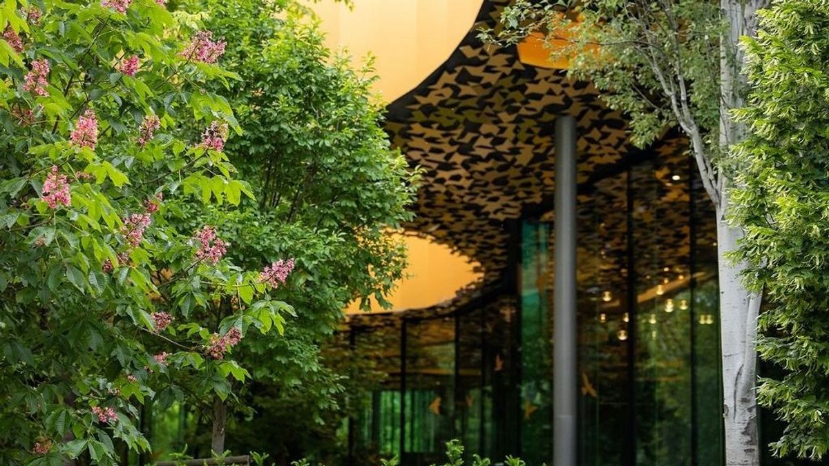 A Városliget látogatása hozzájárul a mentális jóléthez (videó, galéria)