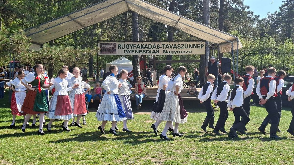 Rügyfakadás 26 év után is: tavasz, közösség, hagyományok egy helyen