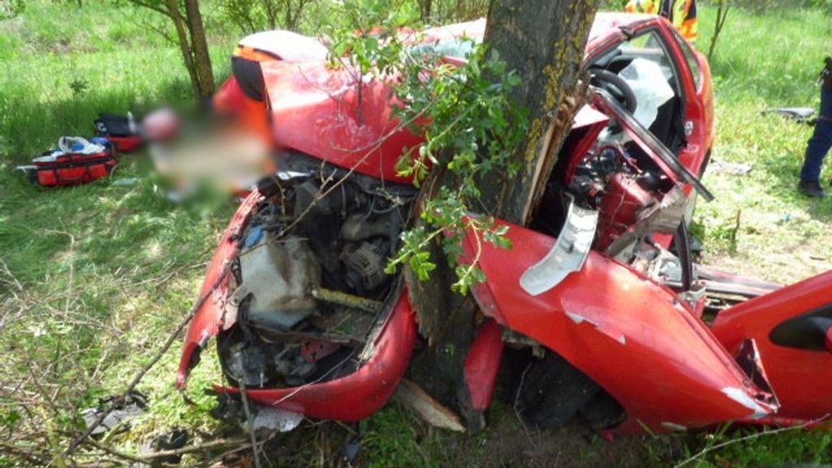 Újabb halálos baleset: rácsavarodott a fára az autó, a roncsba szorult az utas a magyar főúton (megrázó fotók)