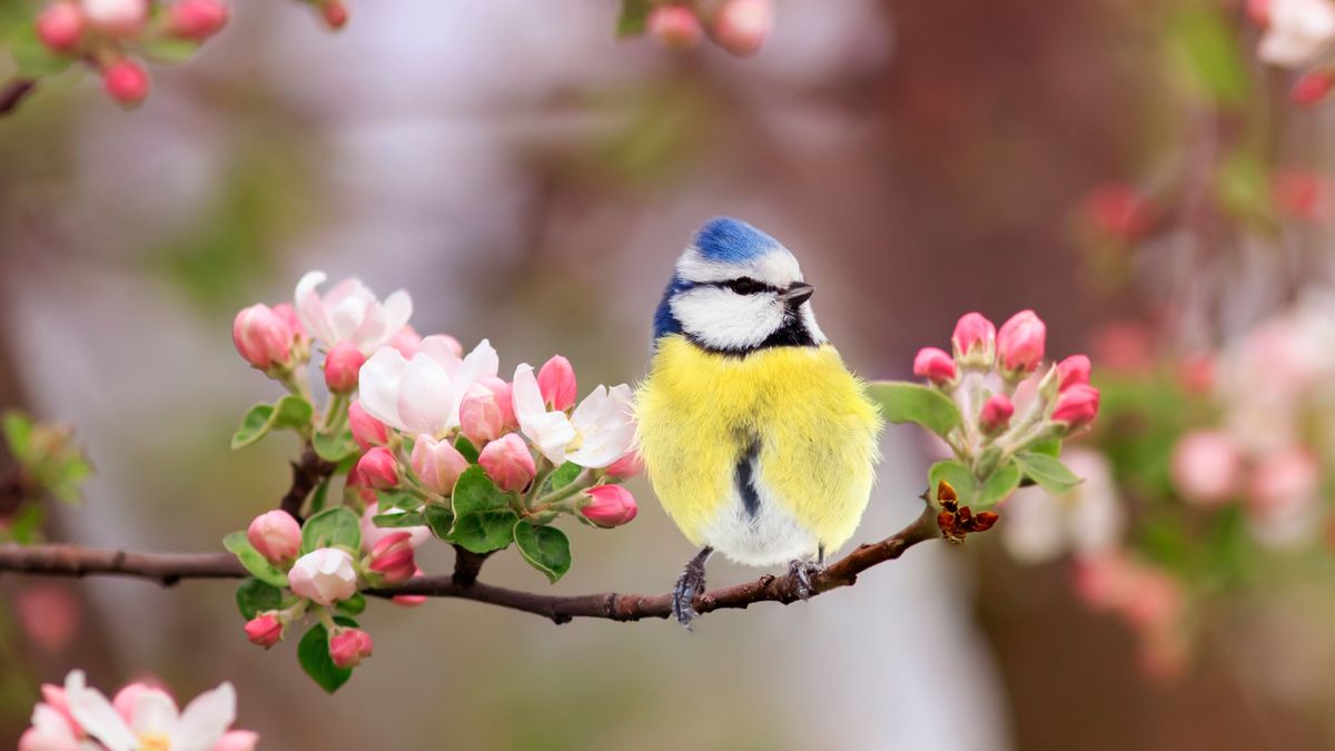 Lassan, de biztosan! Ismét jön a fordulat az időjárásban