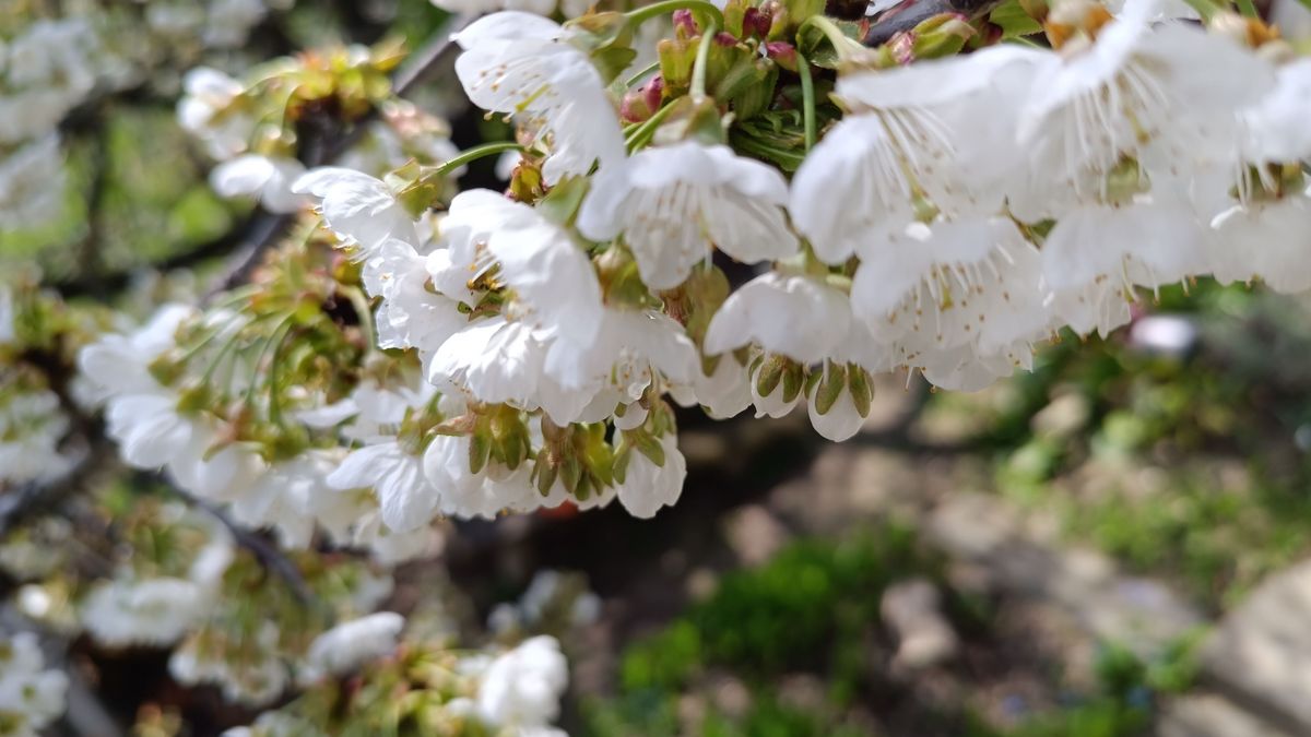 Csillapodott a szél