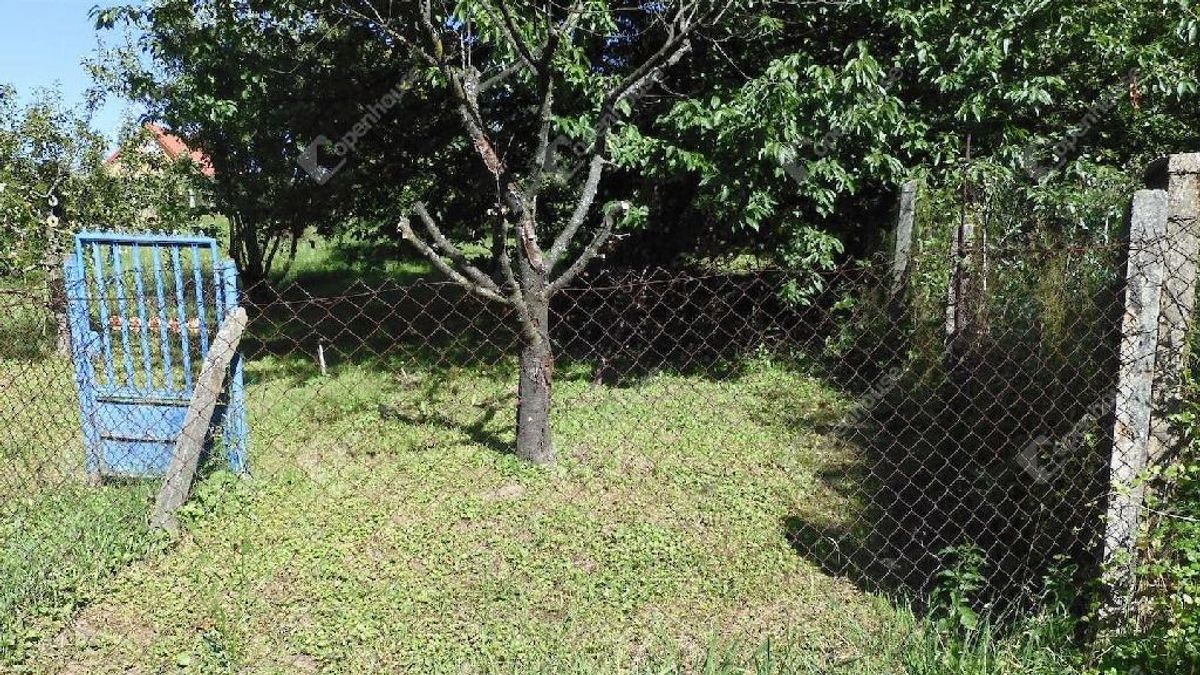 Telkek, megfizethető áron – vigyázz, nem mindegyiken lehet építkezni!