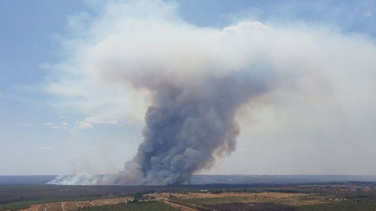 Tényleg ennyire megbolondult a világ? A háborúk miatt súlyos kár éri a légkört és a környezetet