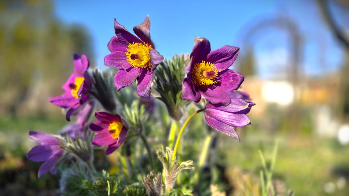 Milyen időre számítsunk húsvétkor? Vajon kell még a nagykabát?
