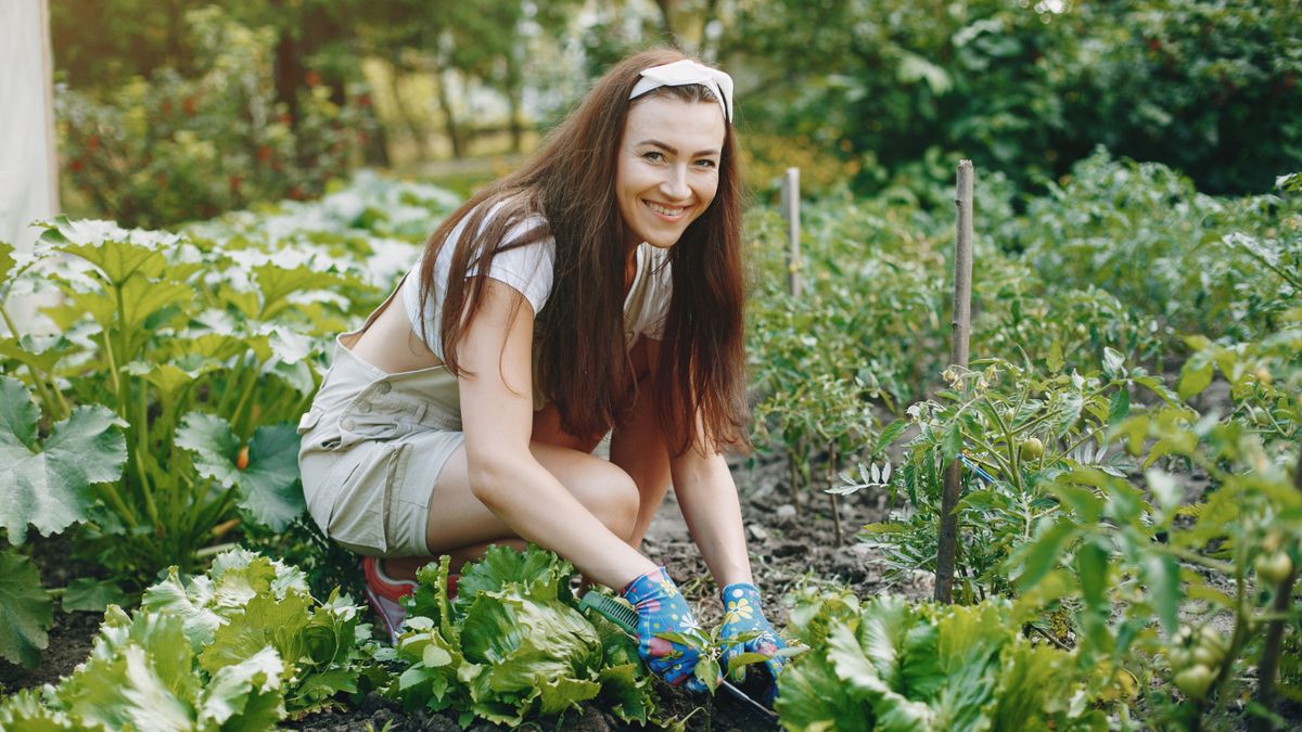 Mit mi mellé ültessünk a kertben? 5 biztos páros, amit régóta használnak