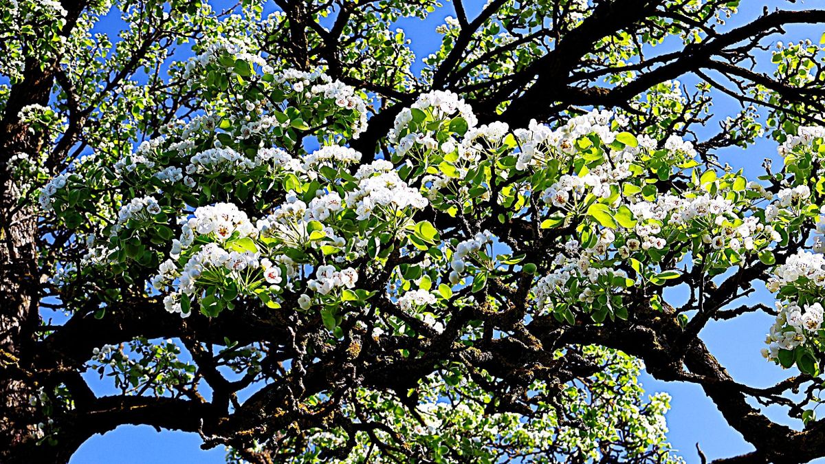 Ragyogó napsütés vár ránk kedden, de van egy zavaró tényező, amivel jobb ha mindenki számol!