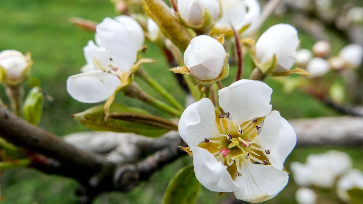 Húsvét napján ránk köszönt a tavasz Zalában