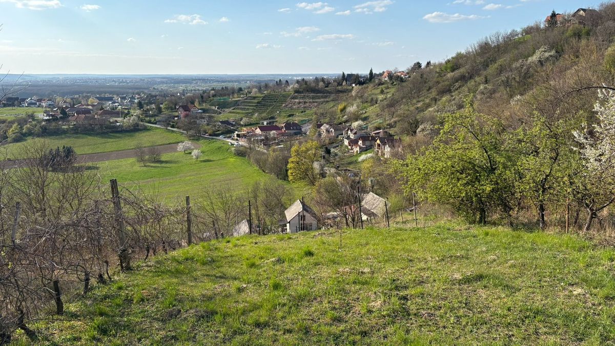 Ma még élvezzük a jó időt, mert száraz hidegfront hozhat fagyokat a folytatásban!