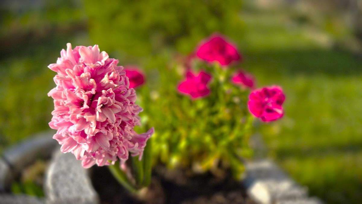 Tartogat még meglepetést a húsvéti időjárás Zalában?