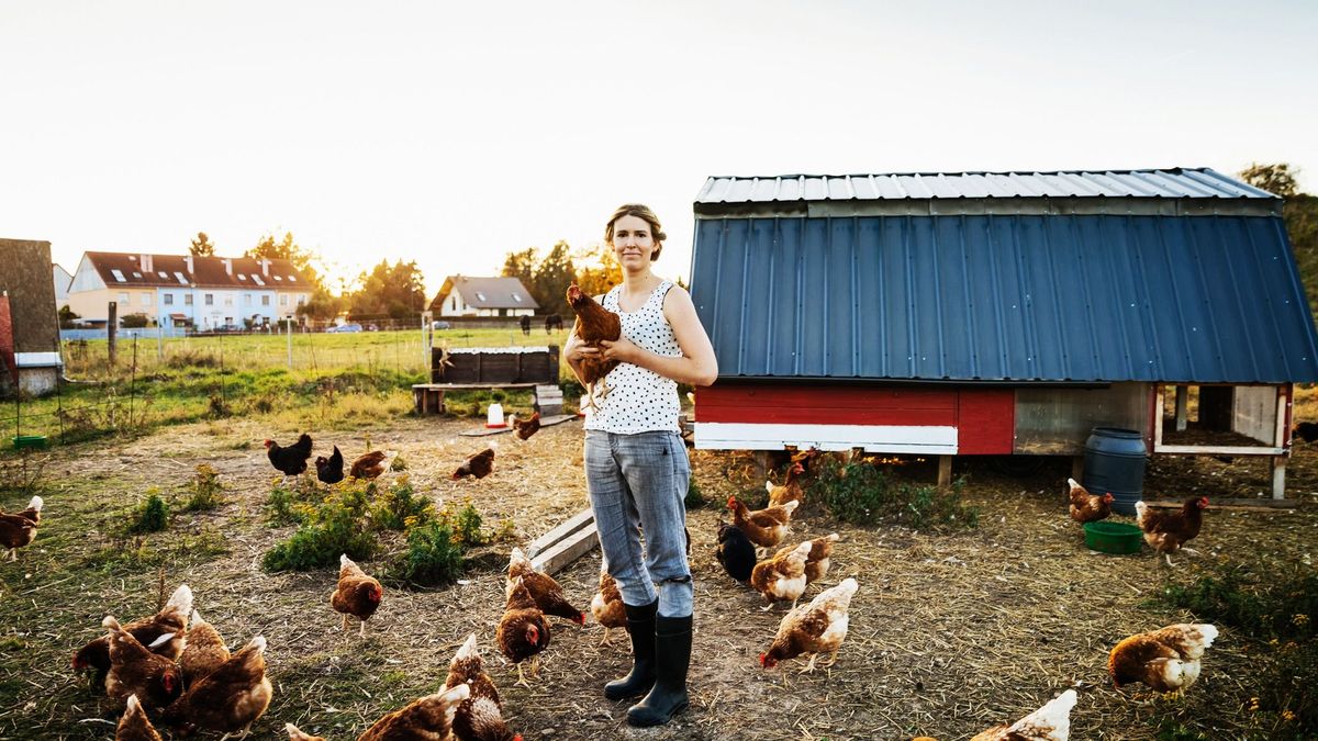 Egy török cég hatalmas élelmiszeripari üzemet épít Magyarországon