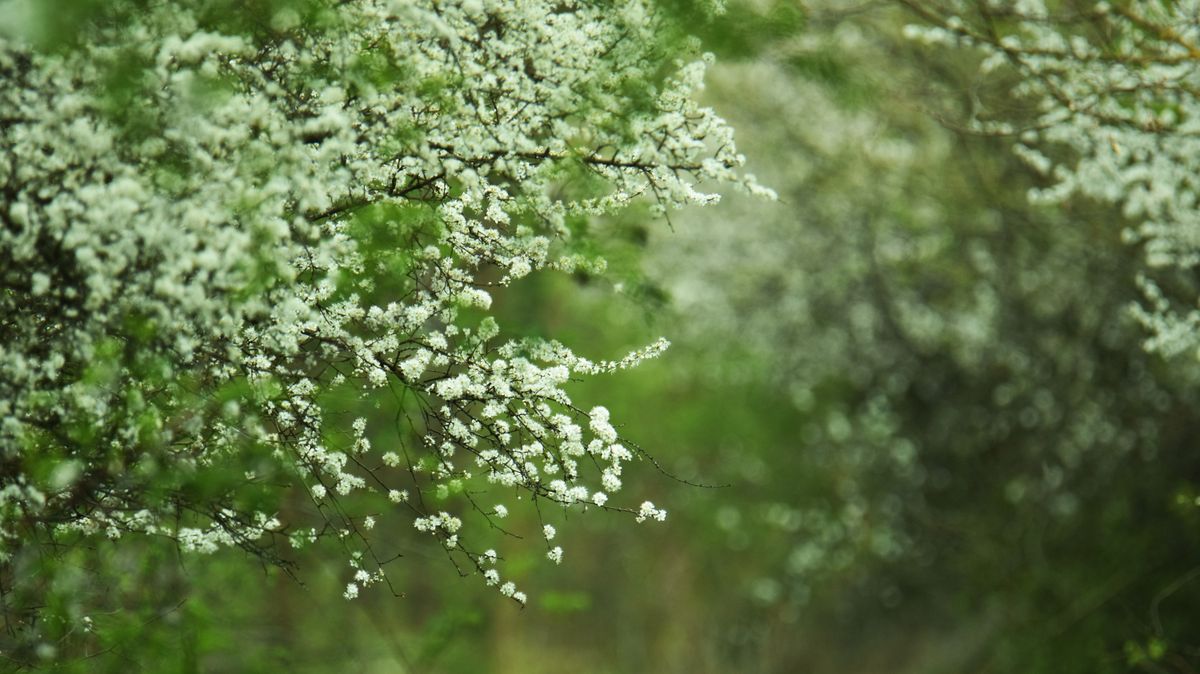 Meglepő fordulat jön az időjárásban a választás után? Mutatjuk a részleteket!