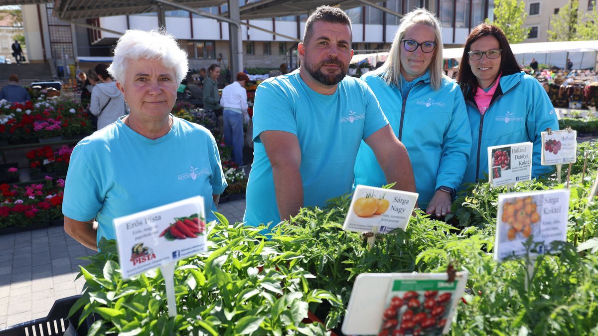 Palántázás előtt állsz? Ezek a fajták fogynak most a legjobban a piacon