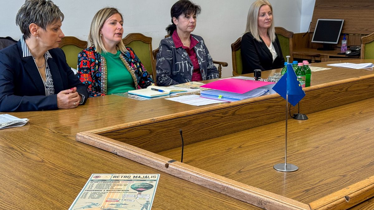 Példamutató összefogás: sztárparádéval segítenek egy kisfiúnak a zalai város retro majálisán