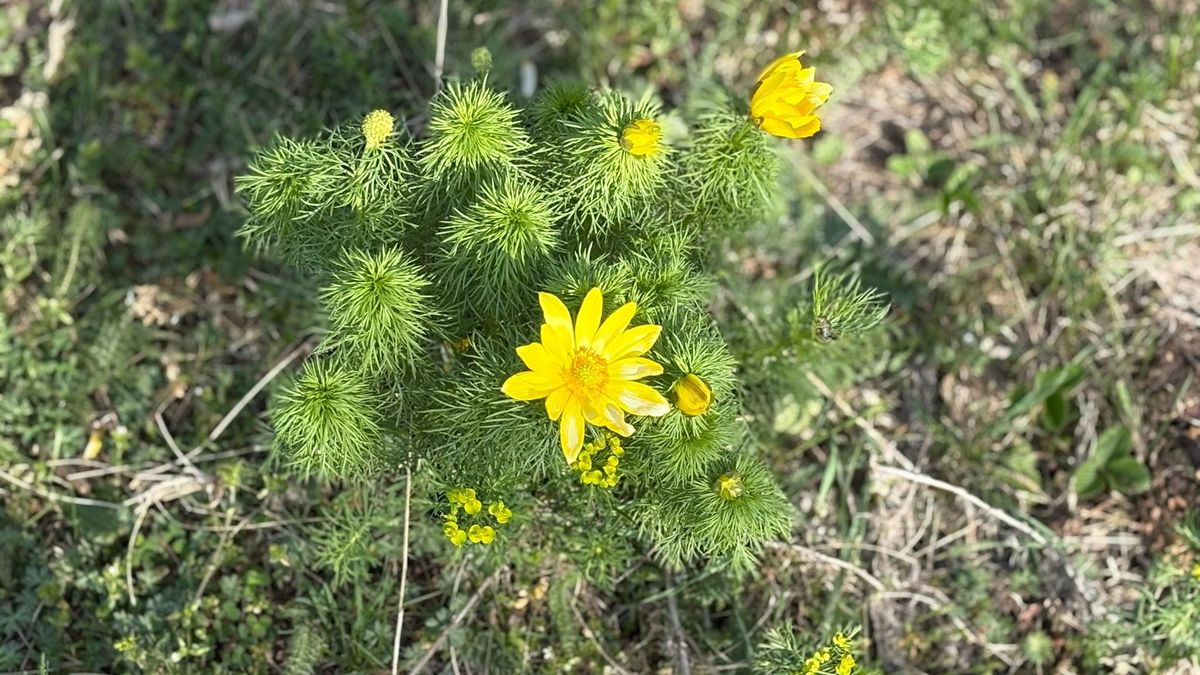 Nem csak a szél erősödik – fagyos reggeleket és rosszullétet is hozhat a hidegfront