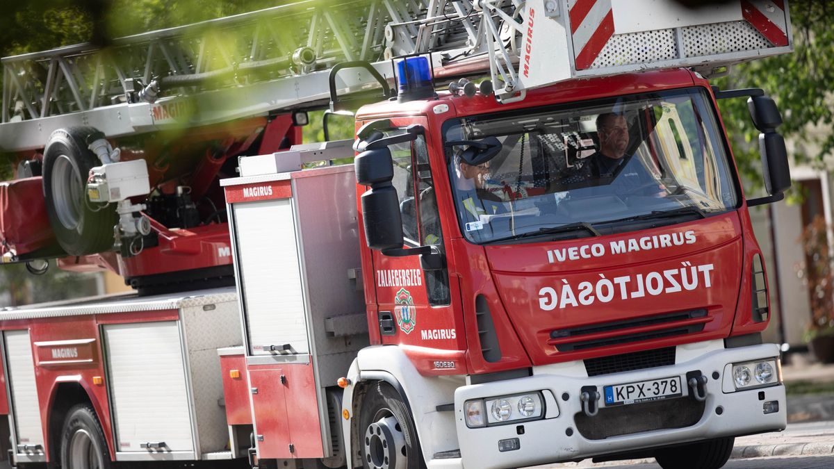 Szélvihar és tuskótűz: nem pihentek a zalai tűzoltók