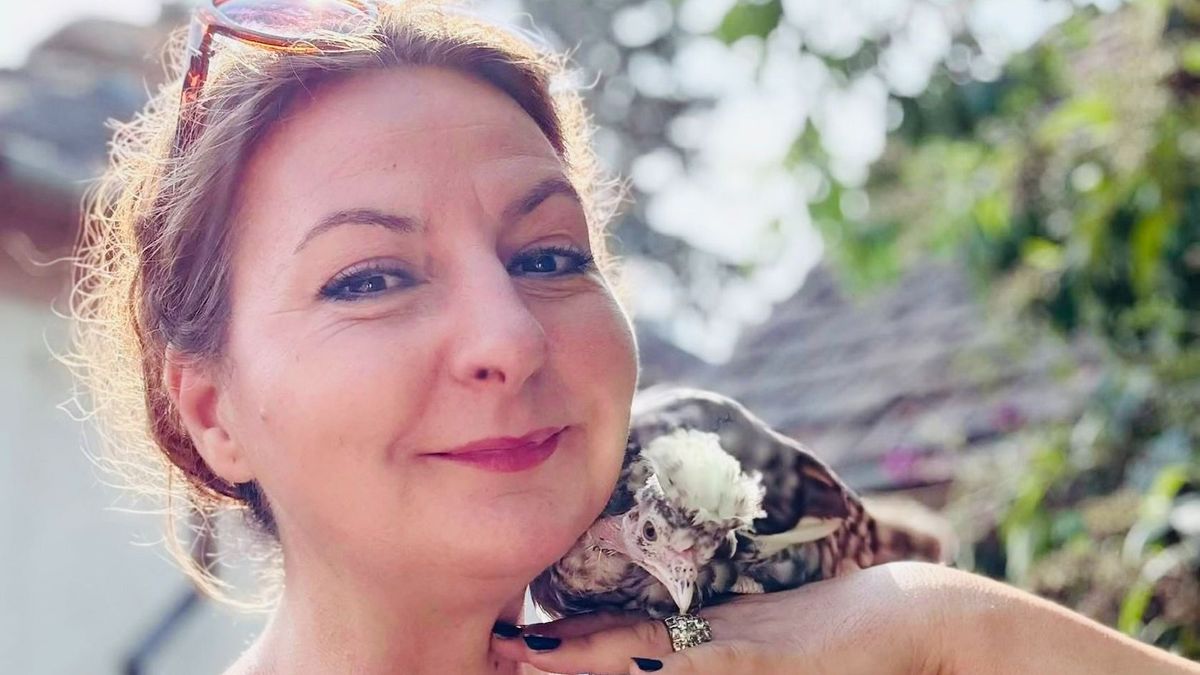 Nem csalás, nem ámítás: a mesés zalai farmon eleve színes tojásokat tojnak a tyúkok! (galéria)