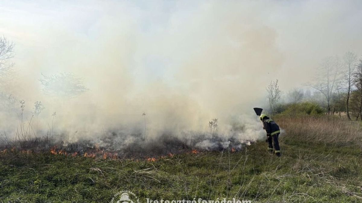 Lángok perzselték a zalai várost vasárnap – mindenhova odaértek a tűzoltók?