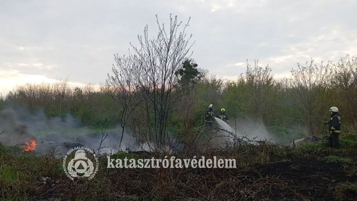 Tujasor, nádas és szeméttelep: tűzesetek sorozata rázta meg Zala vármegyét