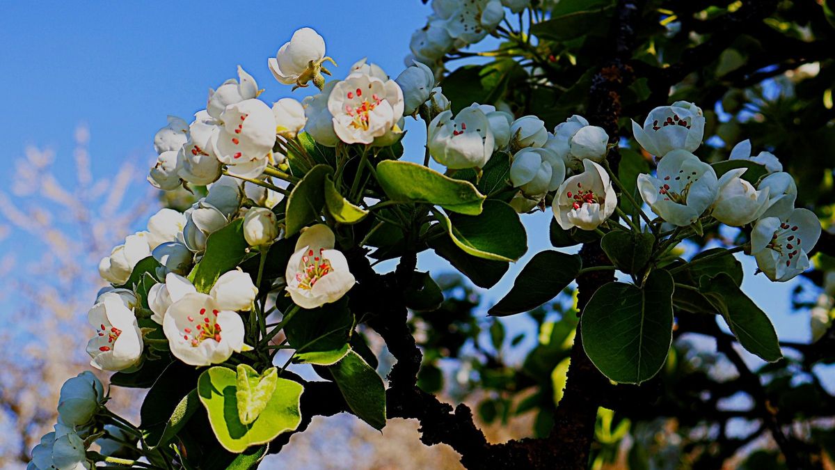 Csodás matuzsálem a főút mellett - ezt látnod kell! (galéria)