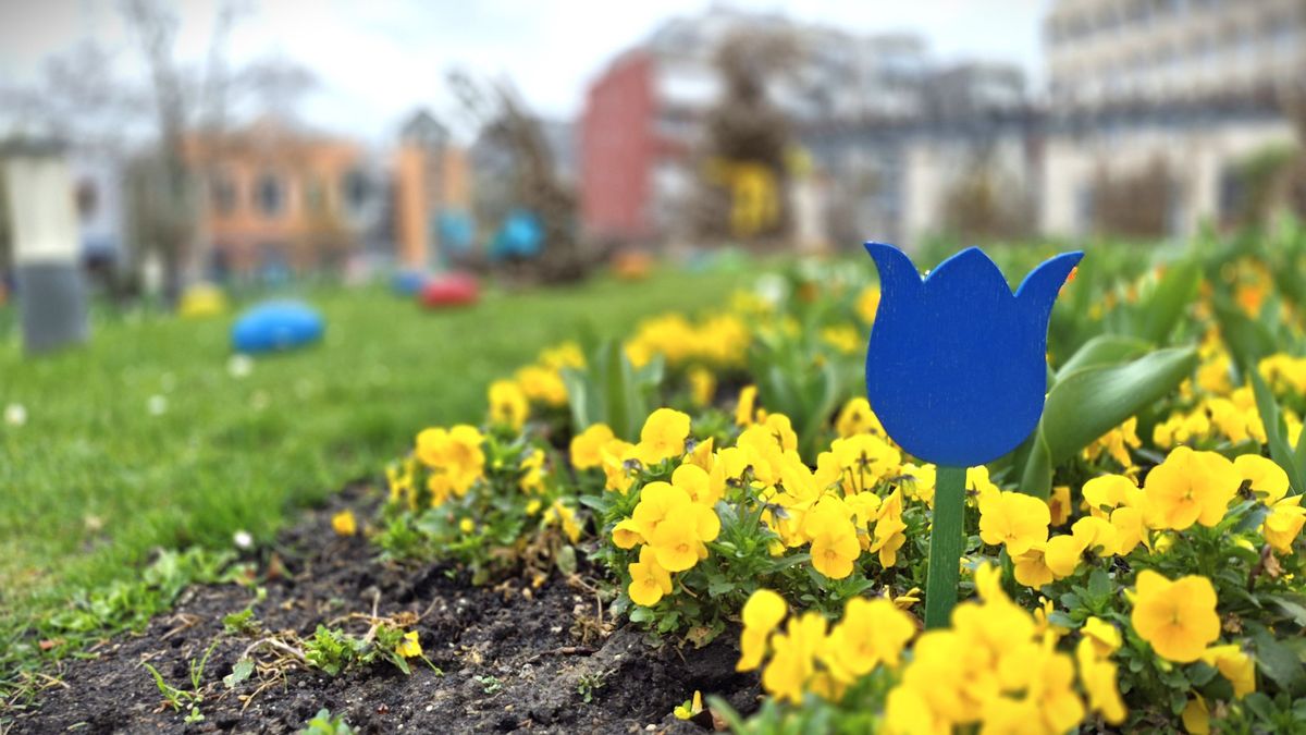 Mi lesz a hangos kampány után? Erről is posztolt a zalai polgármester