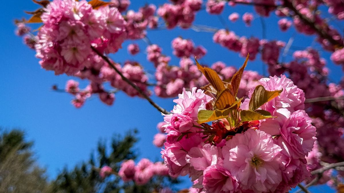 Napsütéses időjárásra készülhetünk a választás napján