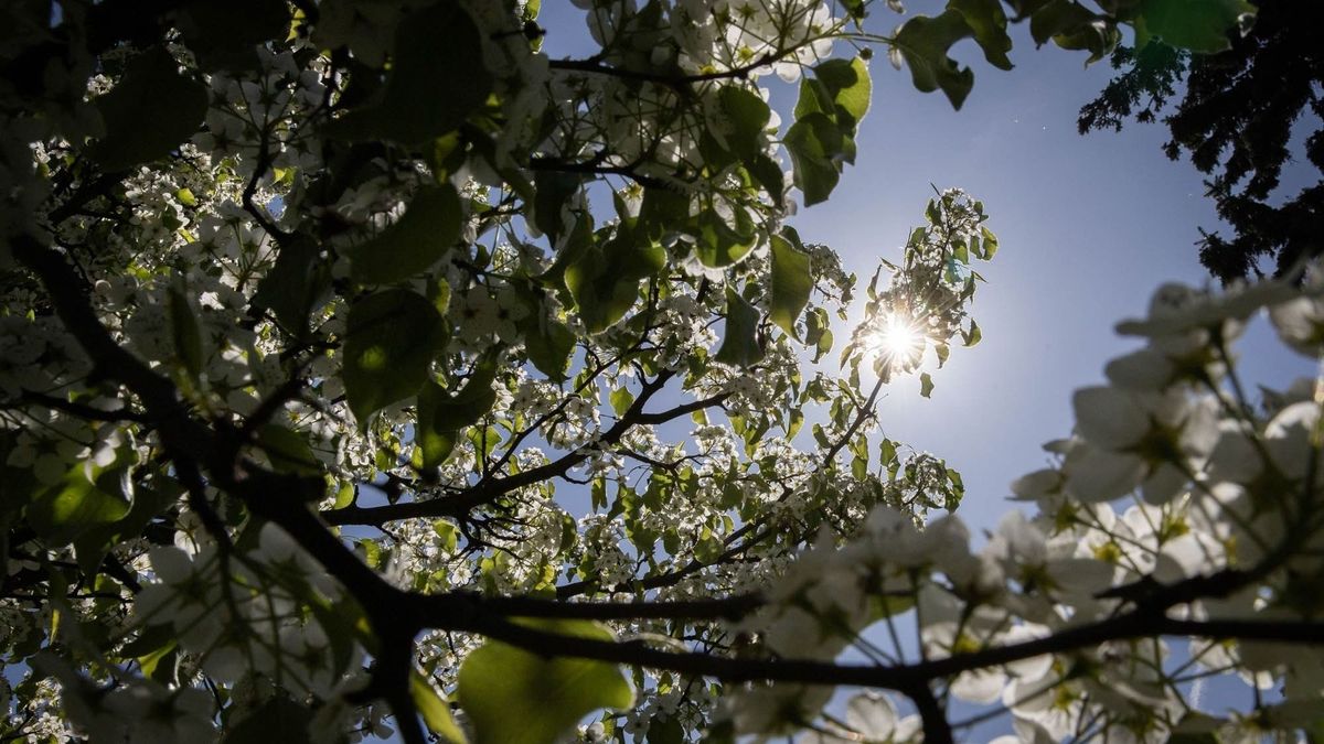 Csapadék nem, napsütés igen: ilyen lesz a szerda időjárása