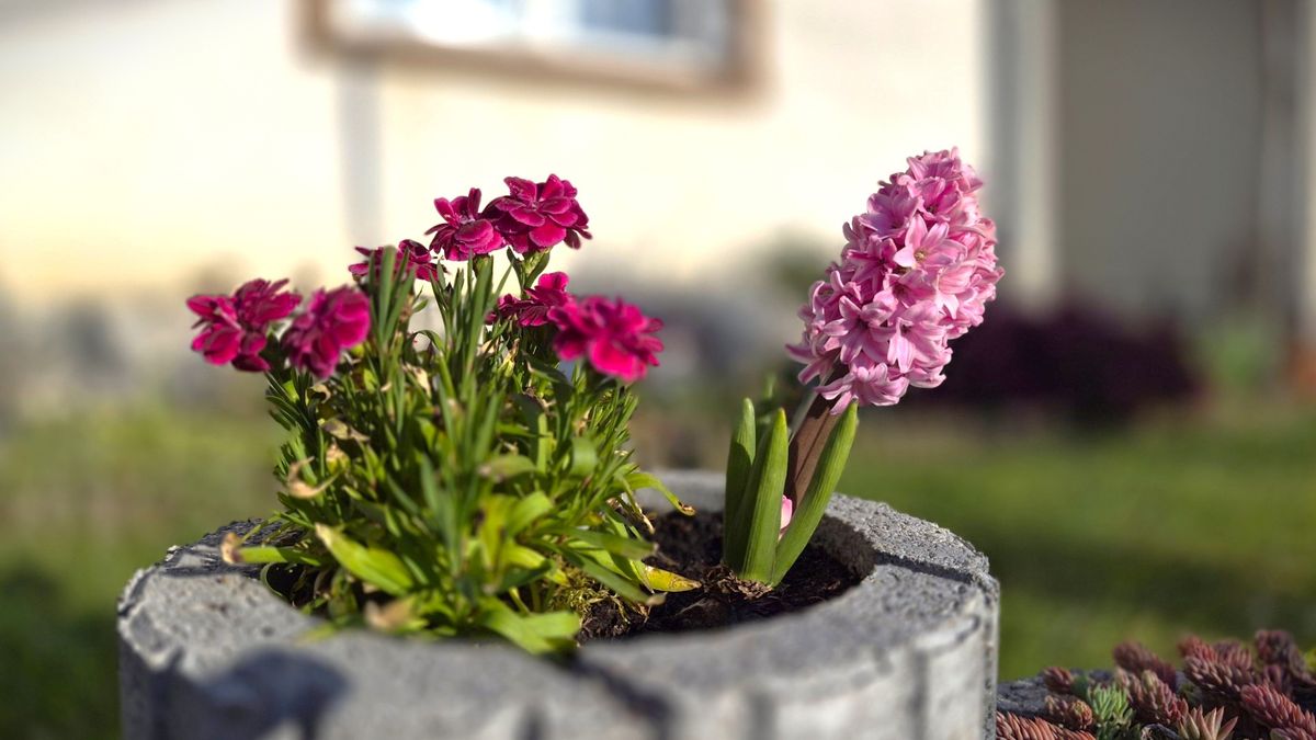 Az eső locsol vagy a legények? Milyen idő lesz húsvéthétfőn?