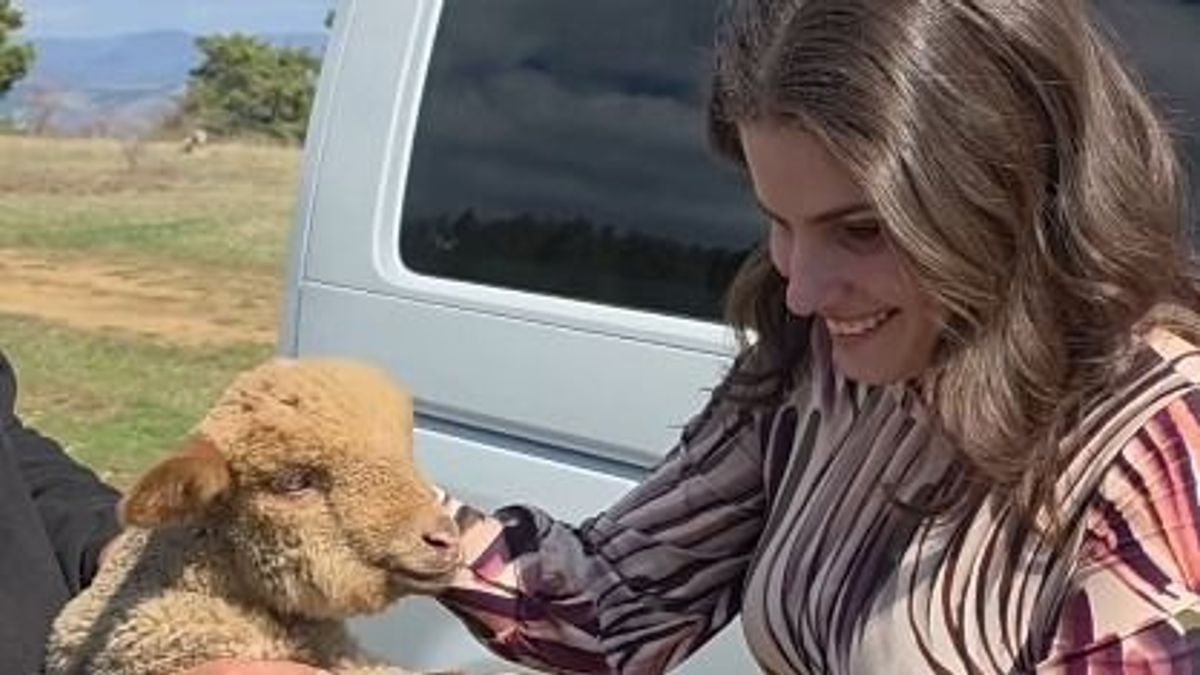 Garantáltan elolvadsz! Agárdi Szilvi egy tündéri kisbáránnyal találkozott (videó)