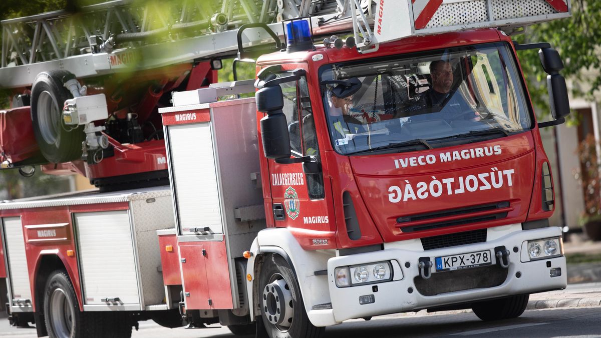 Eldőlt fa, pincét elöntő víz és terjedő lángok – sűrű napjuk volt a zalai tűzoltóknak