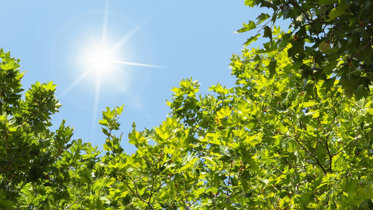 Veszélyben a szombati napsütés? Itt a válasz!
