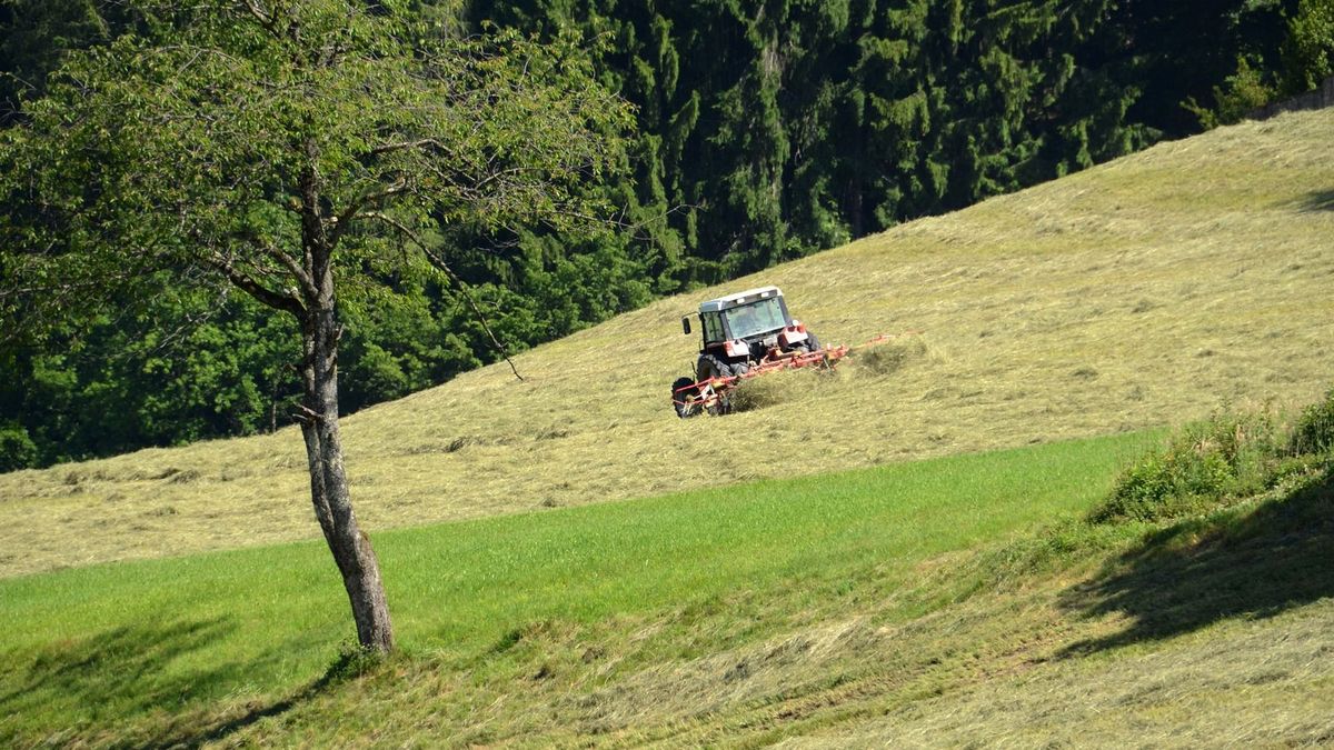 Figyelmeztetik a gazdákat: bejelentés nélkül komoly gond lehet a kaszálásból