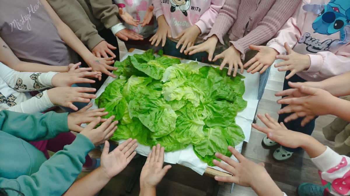 A zalai kisiskolások tudják: a zöldség nem a boltok polcán terem – mutatjuk, mit szüreteltek