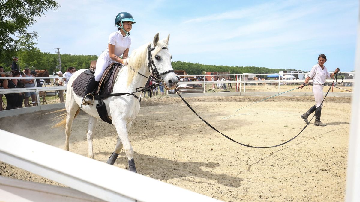 „A ló nem sporteszköz, hanem a sporttársunk” – Újra dobban a zalai lovasok szíve (galéria, videó)